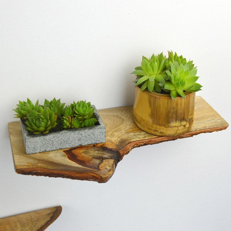 Wall Hanging Solid Wood Partition Flower Shelf