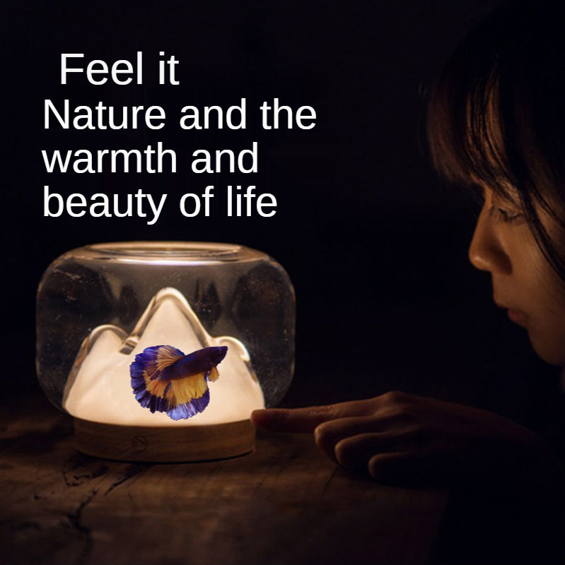 Living Room And Office Mini Desktop Micro Landscape Betta Fish Tank