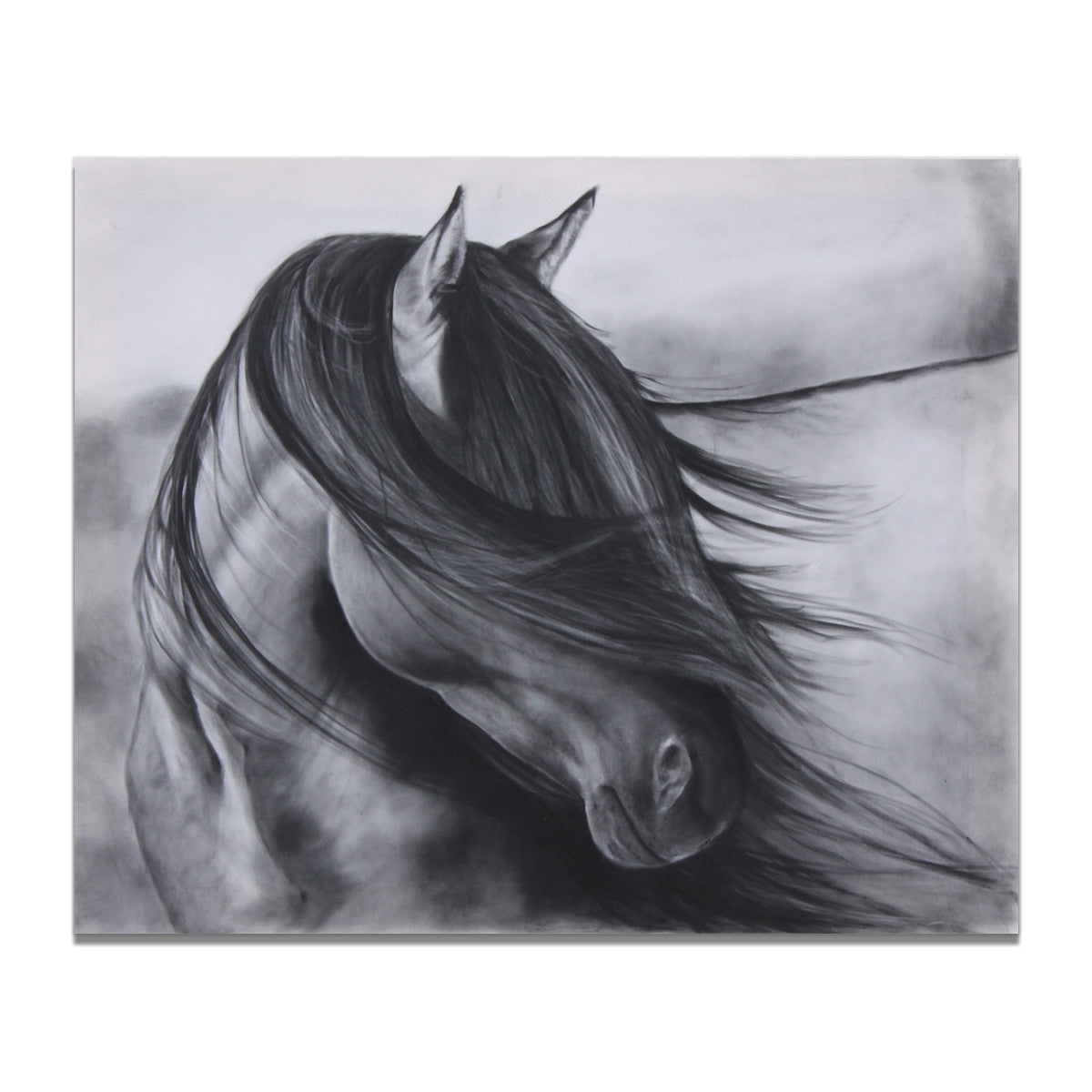 Decorative Black And White Horse Animal Photography Painting
