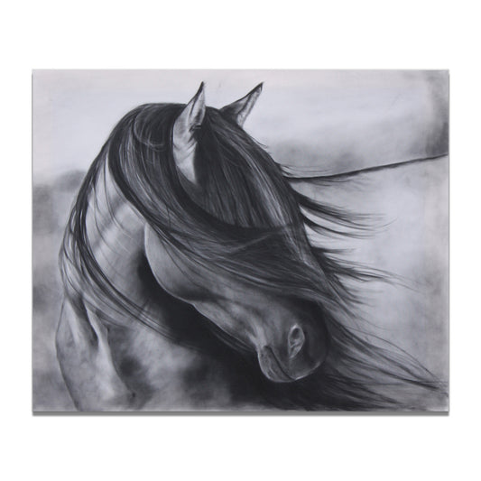 Decorative Black And White Horse Animal Photography Painting