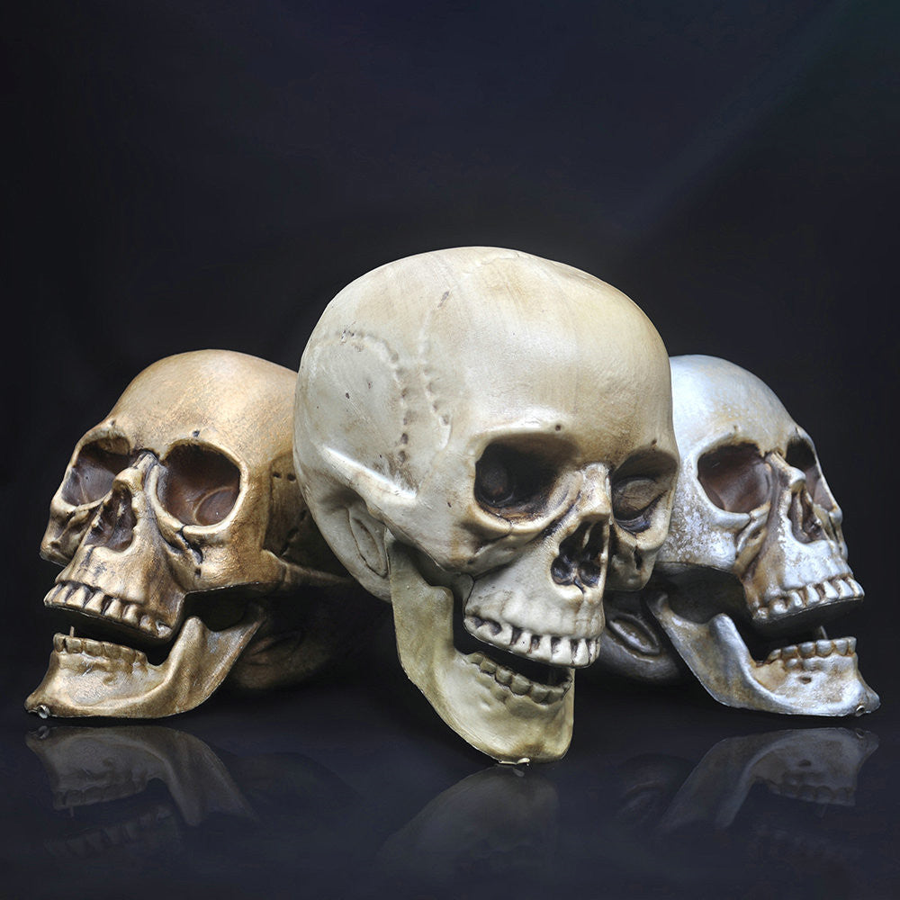 Prop Skeleton Head Plastic Model Halloween Decoration