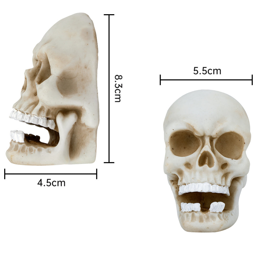 Halloween Skull Decorations *(Multiple Variants)