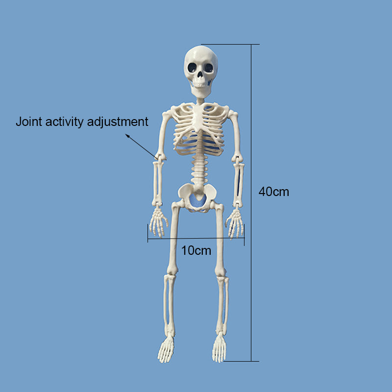 Halloween Skull Decorations *(Multiple Variants)